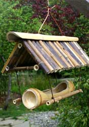 Bangkok Birdfeeder